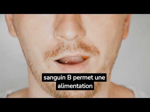 Régime Groupe Sanguin : Fonctionnement, Menus &amp; Avis