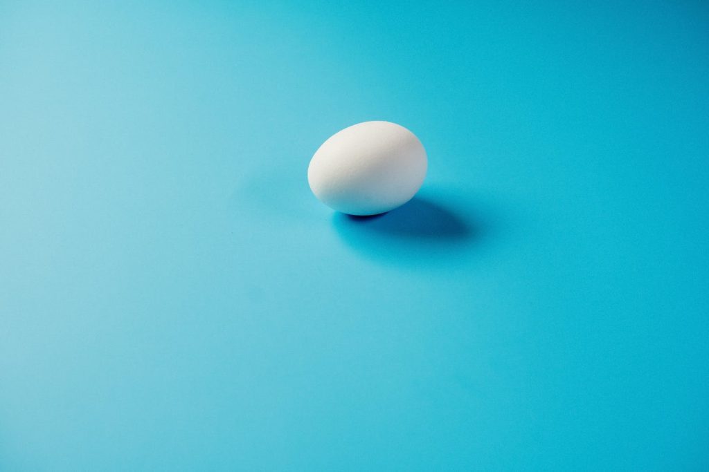 nombre de calories dans un œuf, seul dans une assiette